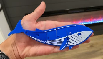 Печать на месте Flexi Whale 5