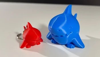 Cute Shark