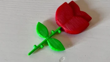 Rose 2D 1