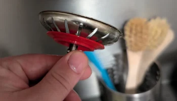Sink drain gasket.