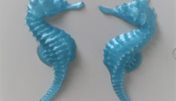 Симметричные магниты "Морской конёк"......... 3