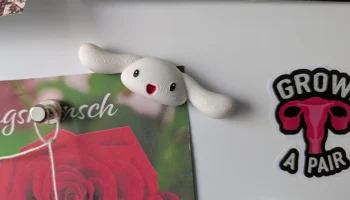 Магнит с корицей 1