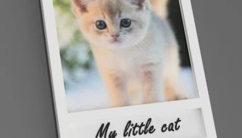 Магнит на холодильник в стиле Polaroid (F3d в комплекте)....