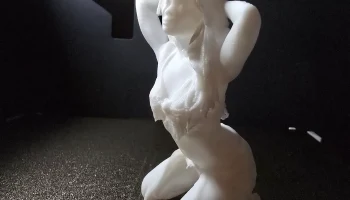коленопреклоненная красавица