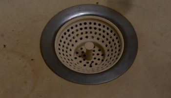 Sink sieve