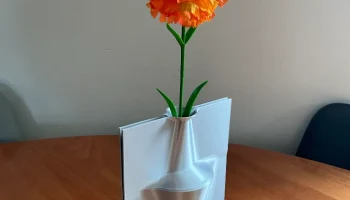MIRA Vase
