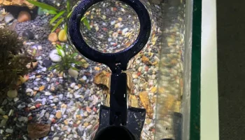 Трубка для кормления аквариумных рыб с плавающим кольцом... 3