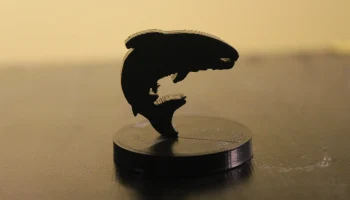 Fish Token