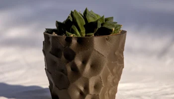 Karl pot