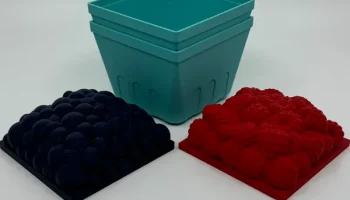 Berry Box 1