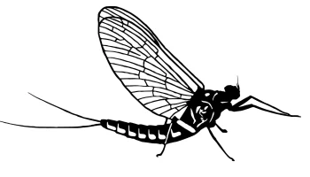 Ef&eacute;mera