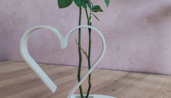 Минималистская ваза с двумя розами и сердечками на День с... 2