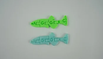 AGGRC Flexi данио 2