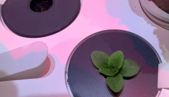 Click and Grow полная обложка