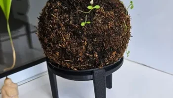 Vase stand