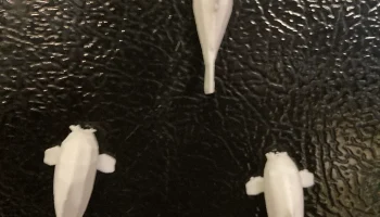 Магнит Cory Catfish