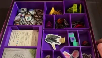 Вставка в коробку ужасающего D&D Ravenloft 2
