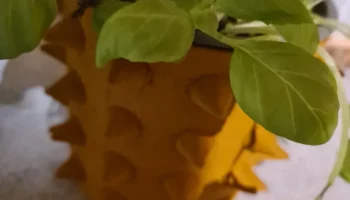 Spike Vase 1