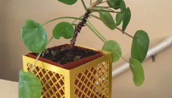 Ящик для цветов из марокканской плитки с крышкой 6