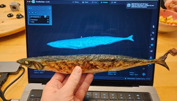 CORE One Fish (с цветной текстурой) 1
