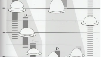 Боссы щитов викингов - 10 век 3