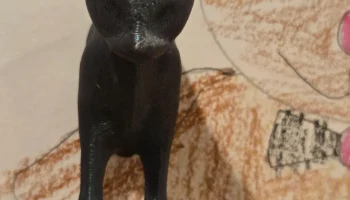 Поистине 3D-магнит для кошек, также известный как "Catgne... 2