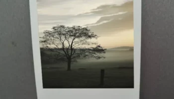 Магнитная рамка на холодильник для Polaroid GO......