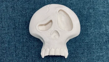 SUS Skull 1