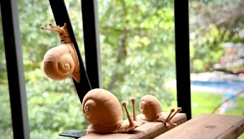 Гибкая улитка