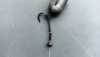 Bait 1