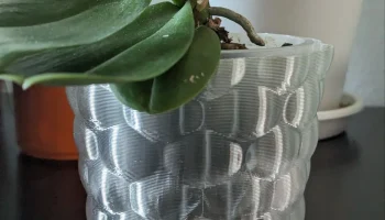 Orchid pot 1