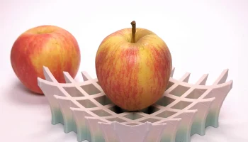 Решётчатая Чаша
