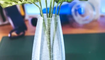 Star Vase