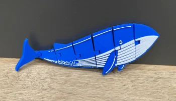 Печать на месте Flexi Whale 3