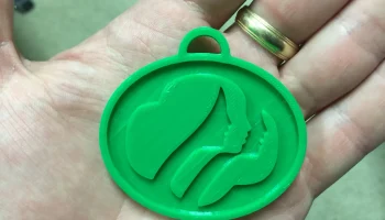 Символ девочек-скаутов для свопов Символ девочек-скаутов для свопов