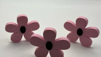 Цветок сам по себе 3