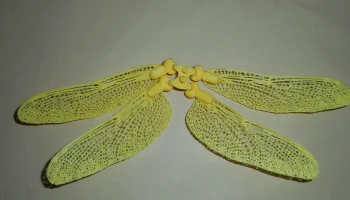 Углерод 13 Тип F. DragonFly Крылья 1