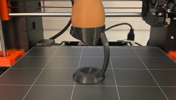 Egg Holder