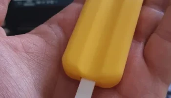 Эскимо 3