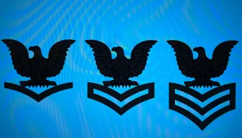 ВМС США - старшины - 3-го, 2-го, 1-го класса...... 2