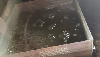 Porodnice pro ryby - pro odchov small rybek вне аквариума...