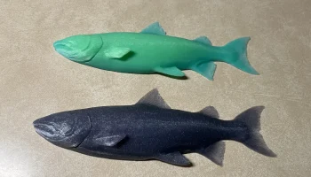 Половинка лосося для поверхностного монтажа...