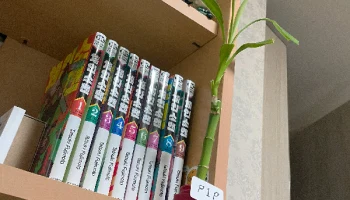 CLAMPOT, ваза для вашей книжной полки...... 1