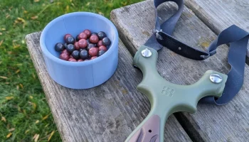 Блюдо для рогатки