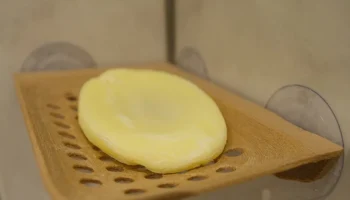 soap dish 3