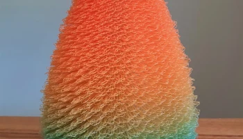 Fuzzy Vase 1