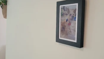 Рамка Waveshare e-ink ESP32 S3 PhotoPainter 2
