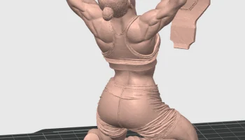 Чемпионка UFC среди девушек 1