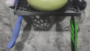 soap dish 1
