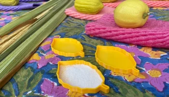 Блюдо в форме этрога (цитрусовых) на Суккот